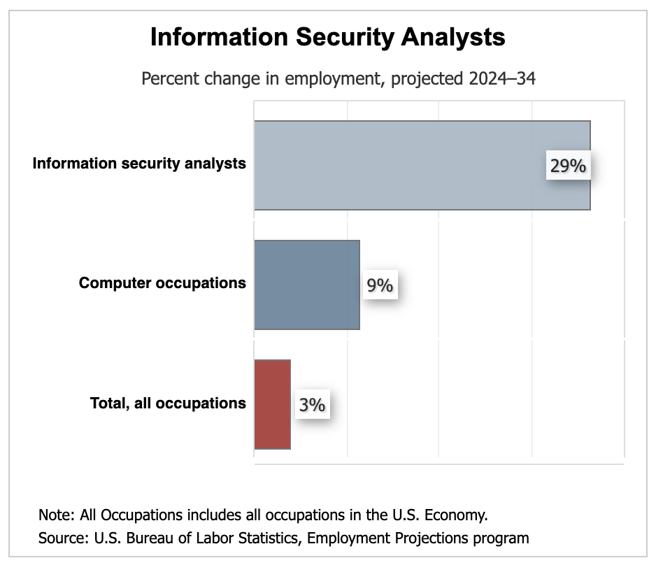 screenshot of cybersecurity jobs over the next decade
